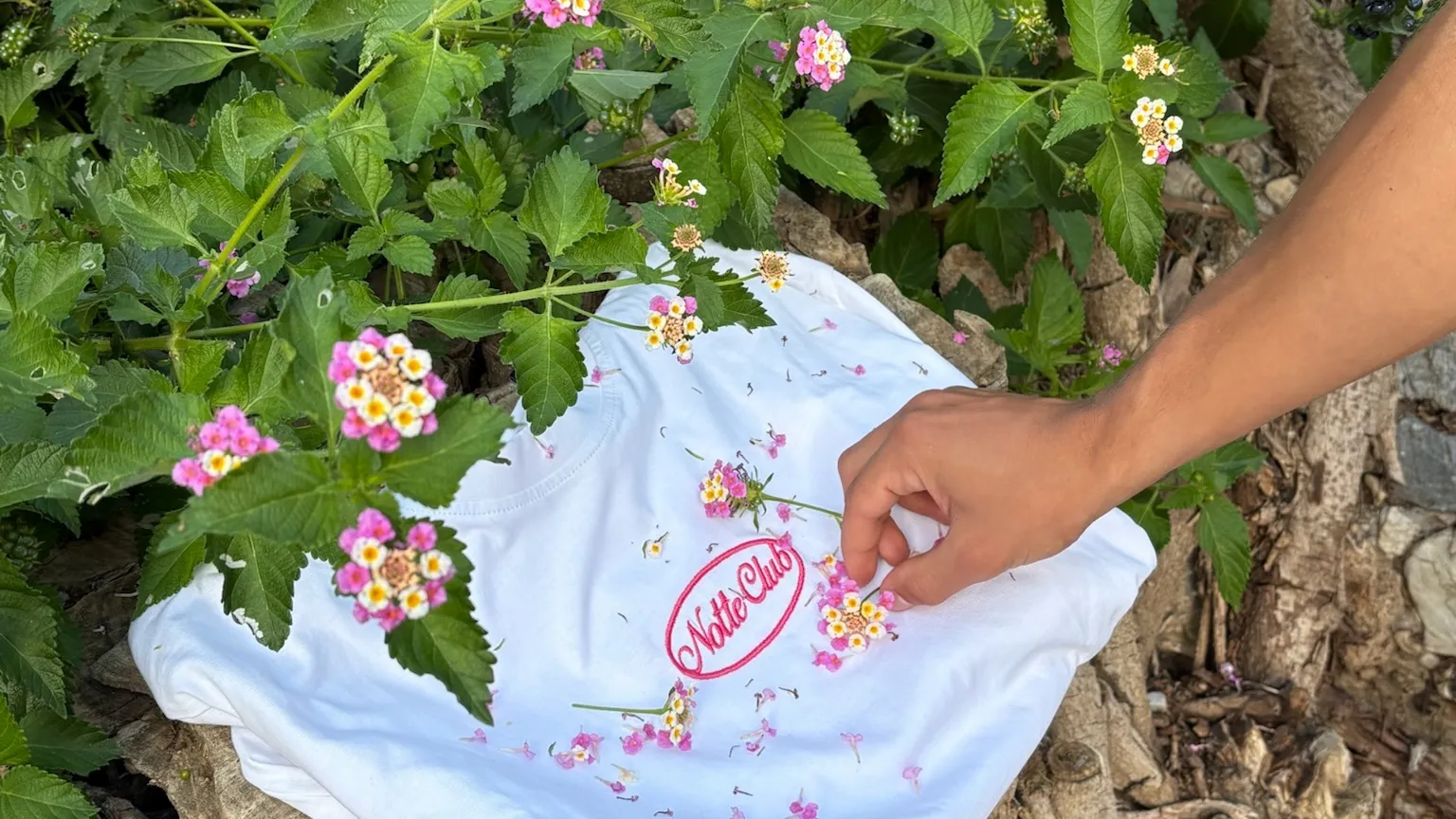 Notte Club — campaña New Summer New Season